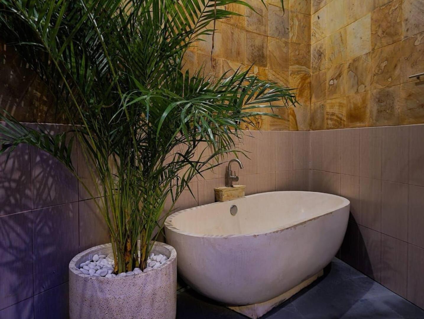 Villa Aurora Lovina Ngoại thất bức ảnh